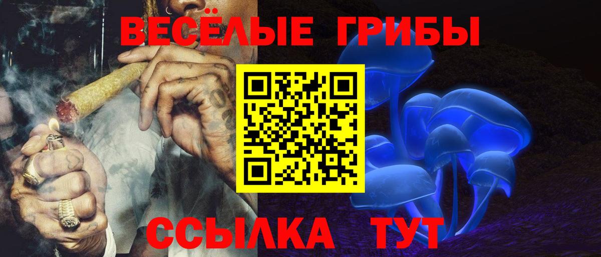 Псилоцибиновые грибы Magic Shrooms Пенза